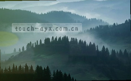 实时比分数据流触发后端更新